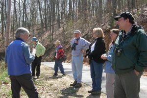 Listening to and differentiating between bird songs - not as easy as it may seem!