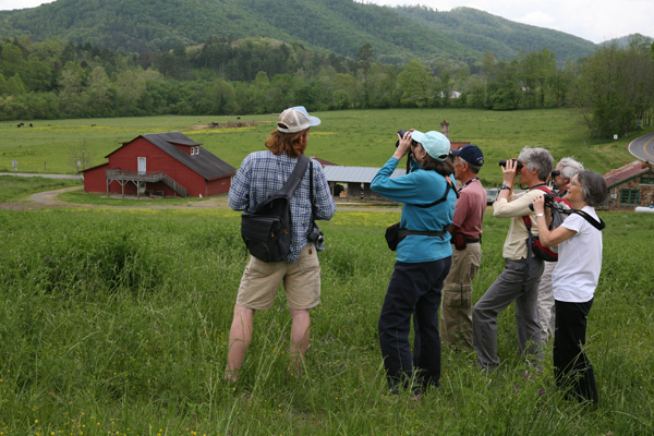 The Folk School’s campus, which for its size, is very rich in birdlife, is a perfect setting for “Birds of Southern Appalachia,” ...