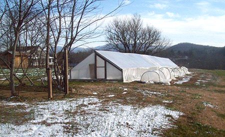 Bamboo Greenhouse in the Garden, March 7, 2013