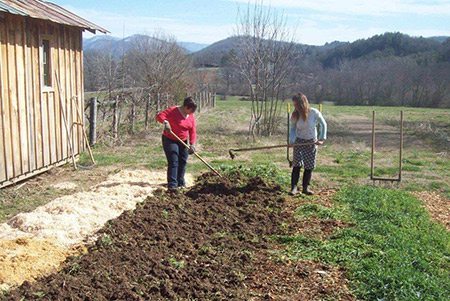 Work/Studies turn in cover crops to prep the beds for planting.