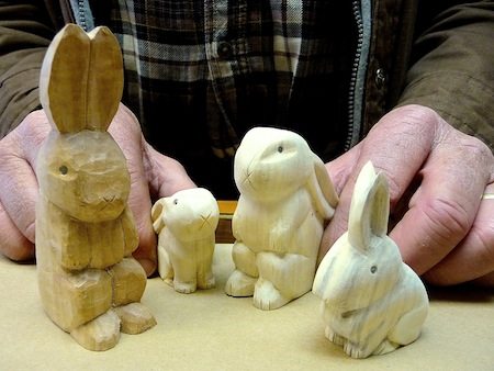 Some Bunnies Need A Home  ...