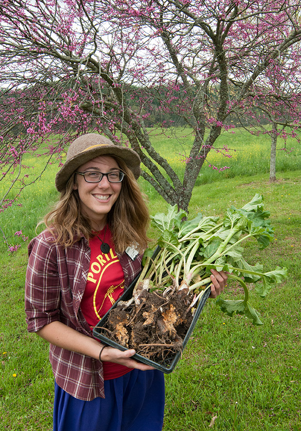 Host Bonnie - Chard