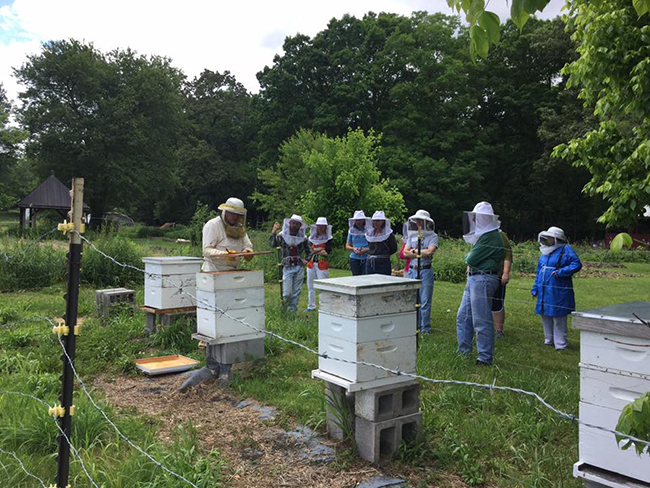 I just finished teaching a weekend class on pollinators and gardening at the Folk School. My class was a great group of folks. We learned about seeding starting and growing native milkweeds for monarch eggs and caterpillars, planting flowers, native shrubs and trees for bees, butterflies, and hummingbirds, the challenges of neonicotinoids and herbicides. The weekend exhibited beautiful May weather! Enjoy our photo album:  ...