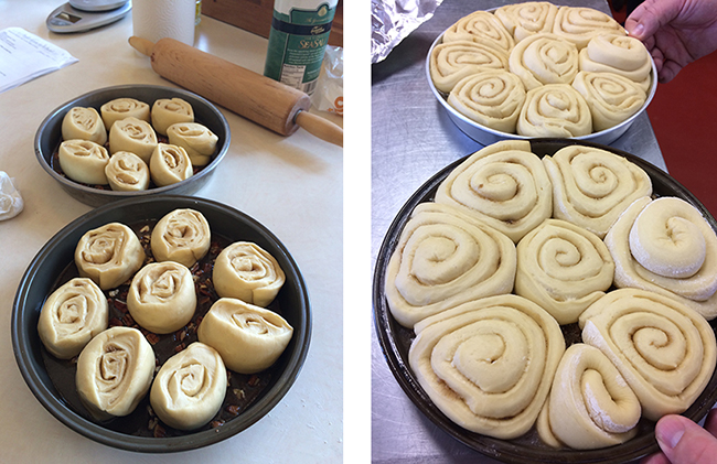 The sticky buns, unrisen (on the left) and risen (on the right)
