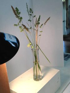 Lighting a still life with vase and grasses