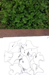 Drawing outside