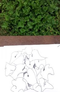Drawing outside