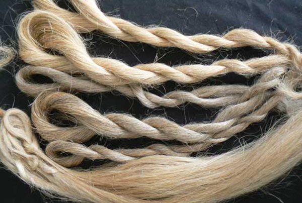 Handspun flax by Cassie Dickson. Photo by Cassie Dickson.