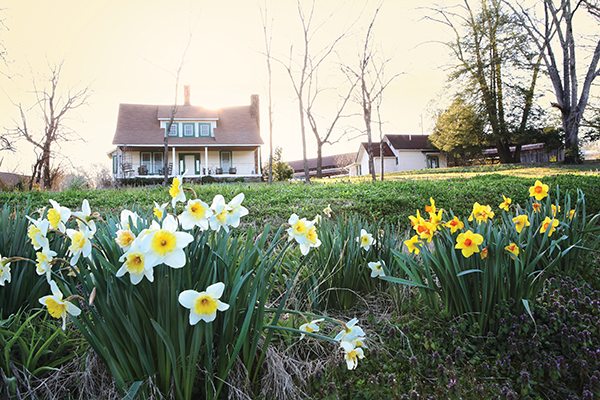 Corie Pressley has lived in tiny Brasstown, North Carolina, all her 21 young years. She commuted to college for two years but this scenic Appalachian community is where she’s grown up, developed, and matured. You might think her life experiences have been limited in this small town. But that’s where you’d be wrong.