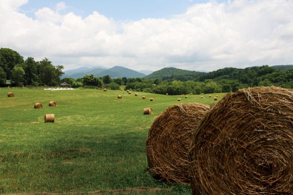 Hay bales