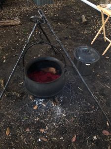 Back in Nebraska, dyeing with madder root grown at the Folk School