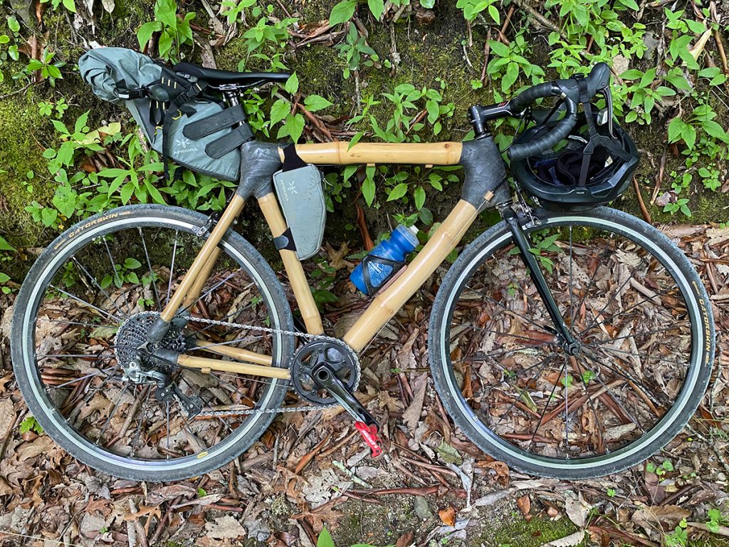 Bamboo bicycle against nature