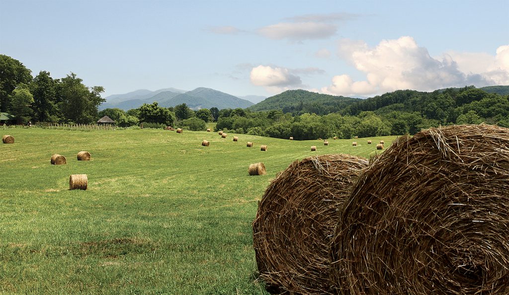 Haybales in the field