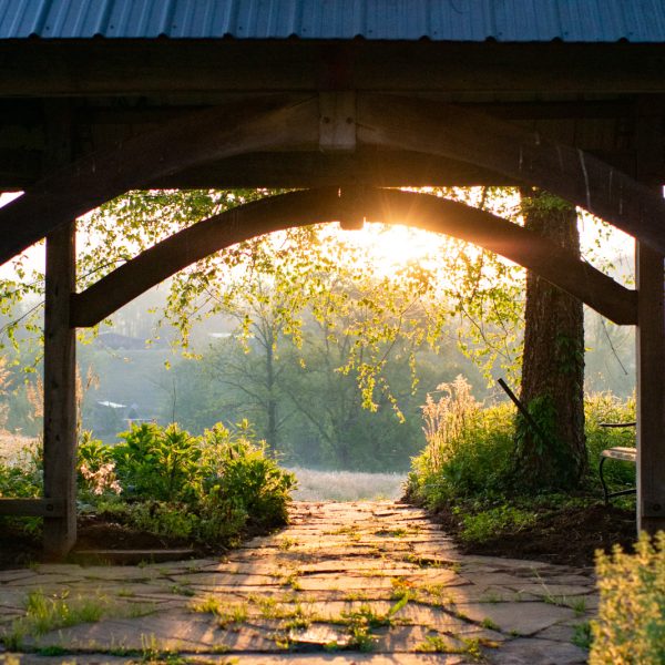 Garden benches at sunset