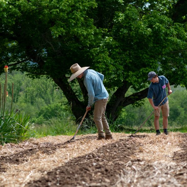 Working in the garden