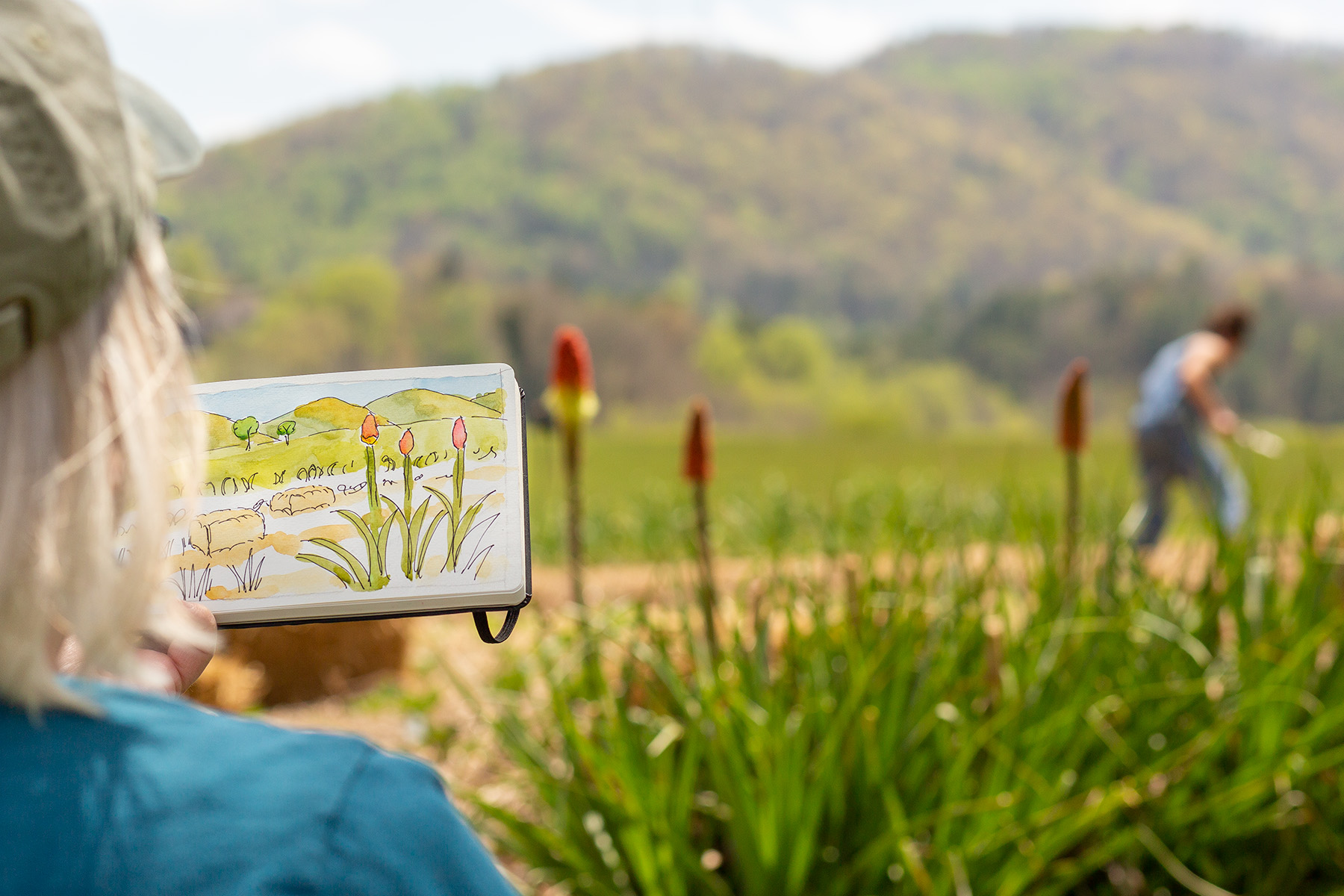 Painting a garden landscape