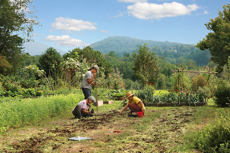 Students learning about gardening