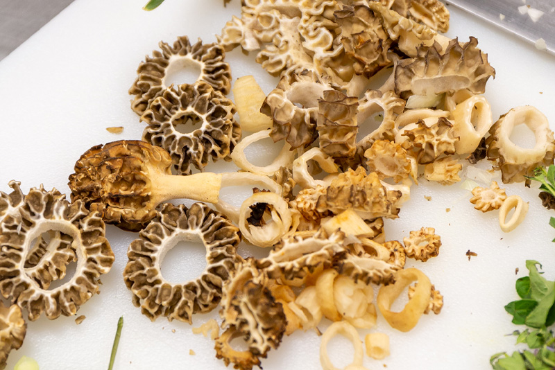 Morel mushrooms