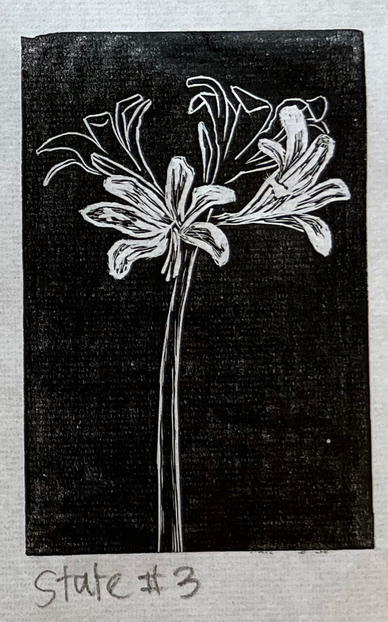 WoodEngraving_PM_Price_IMG_4919