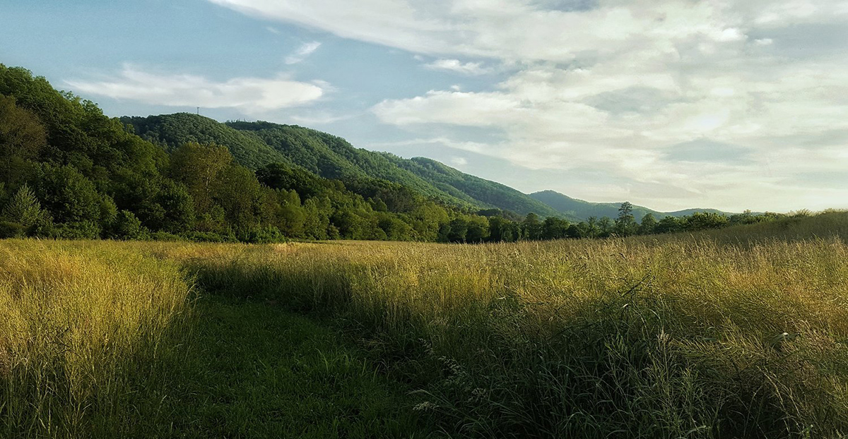 Kehoe_Field