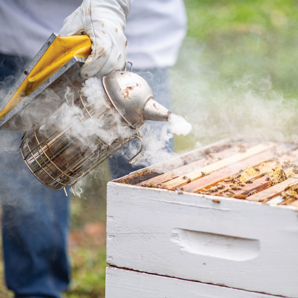 JCCFS | Cover Story: Beekeeping with Virginia Webb