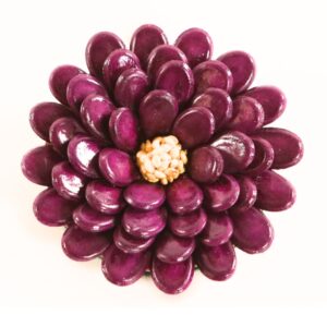 Shuckery & Woods Pretties - Image 2