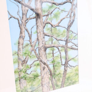 Winter Woods - Image 2