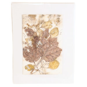 Eucalyptus, Sycamore, Dogwood, and Ironweed