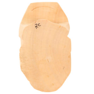 Frog Carving - Image 4