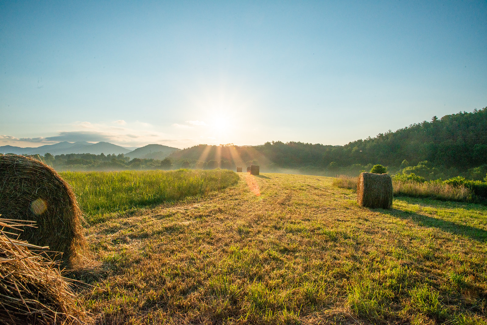 Folkschool Landscape