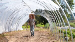 A person wearing a straw hat walks through a partially constructed greenhouse on a sunny day.