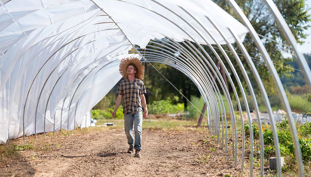 Gardener inspecting greenhouse frame