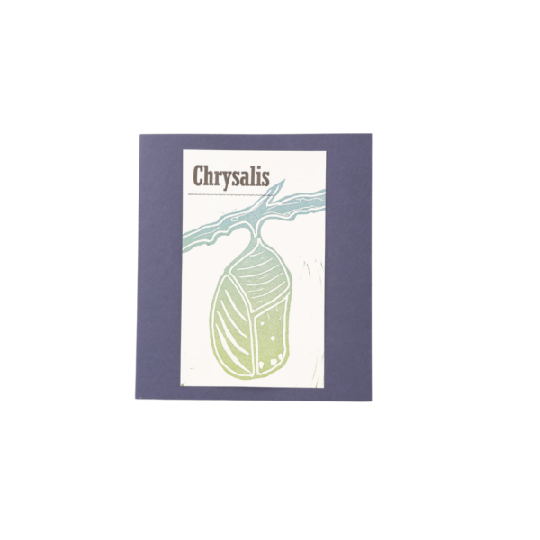 Chrysalis