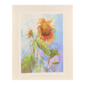 Sunny Dew Giclée Print