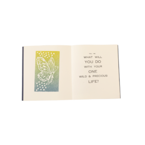 Chrysalis - Image 6