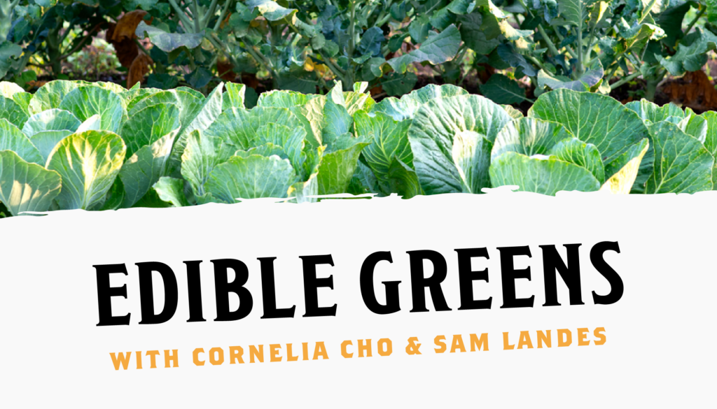 Delicious Edible Greens with Cornelia Cho & Sam Landes