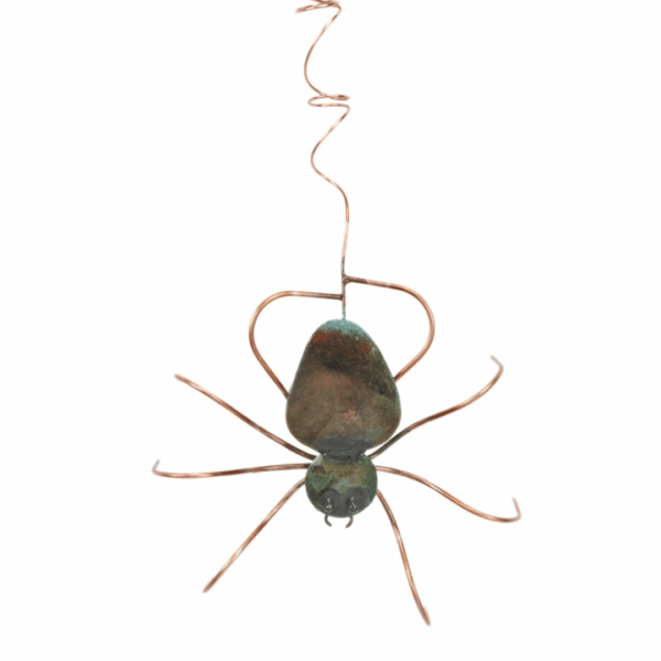 Dangling Spider