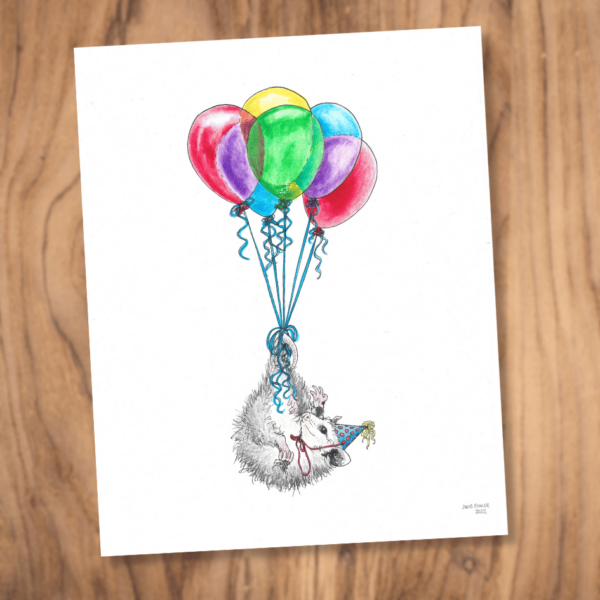 Birthday Opossum