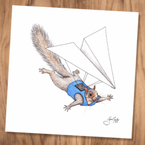 Flying Squirrel