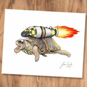 Frank the Turtle's First Flight