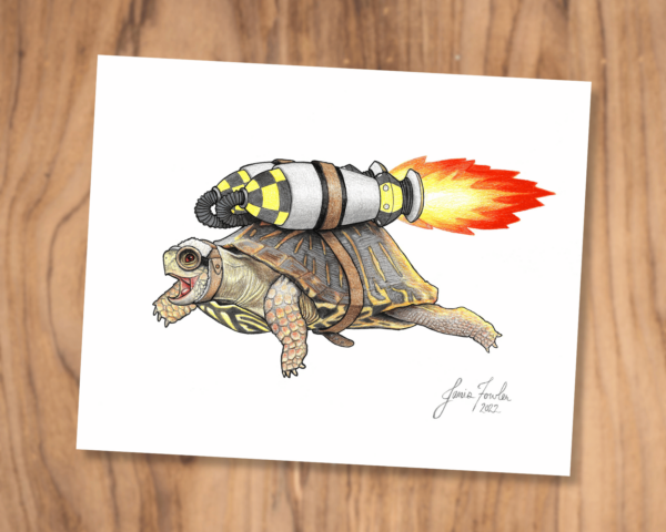 Frank the Turtle's First Flight