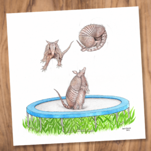 Trampoline