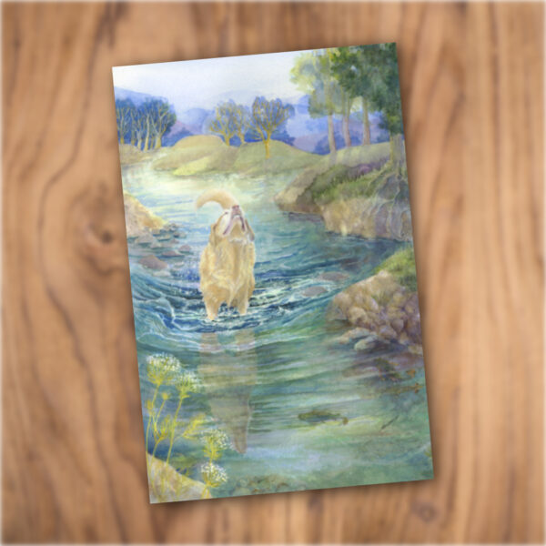 Suzy Deslauriers Print - Cooling Off (8 x 10 inches)