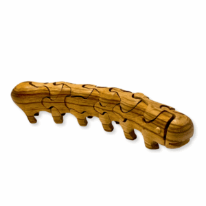Caterpillar/Butterfly