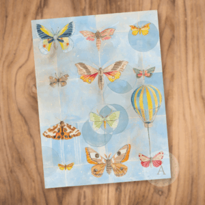 Flight Collection by Anne Fain Barralon- Blank Card