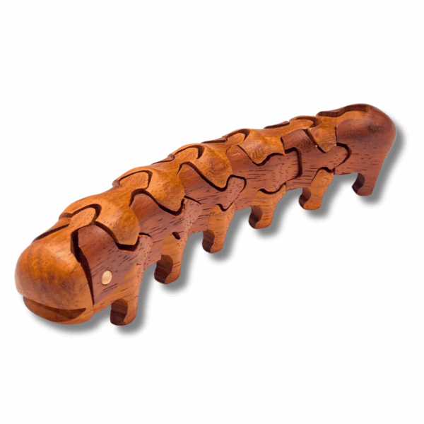 Caterpillar Puzzle - Hidden Butterfly