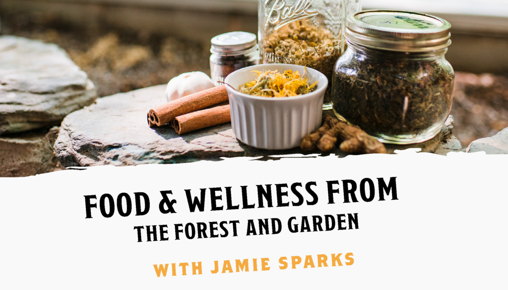 Food, Forage, and Wellness: An Interview with Jamie Sparks