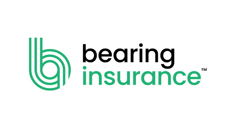 Bearing Insurance